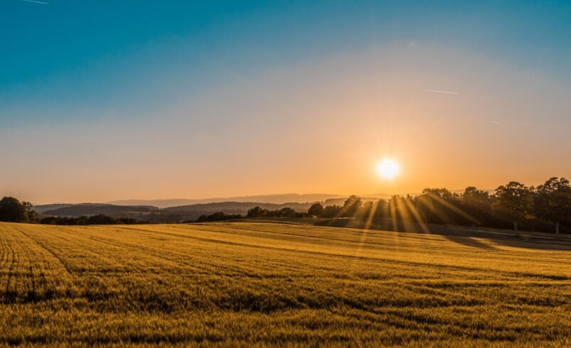 Mackinac Island Gears Up for Record Tourism Season