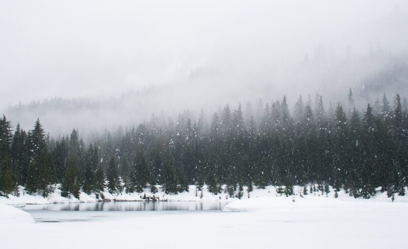 Severe Winter Storm Warning Issued for Northern Michigan