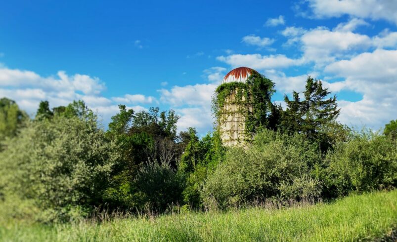 Who Benefited from Michigan’s $6 Billion Subsidy Spending Spree? Not Rural Michigan