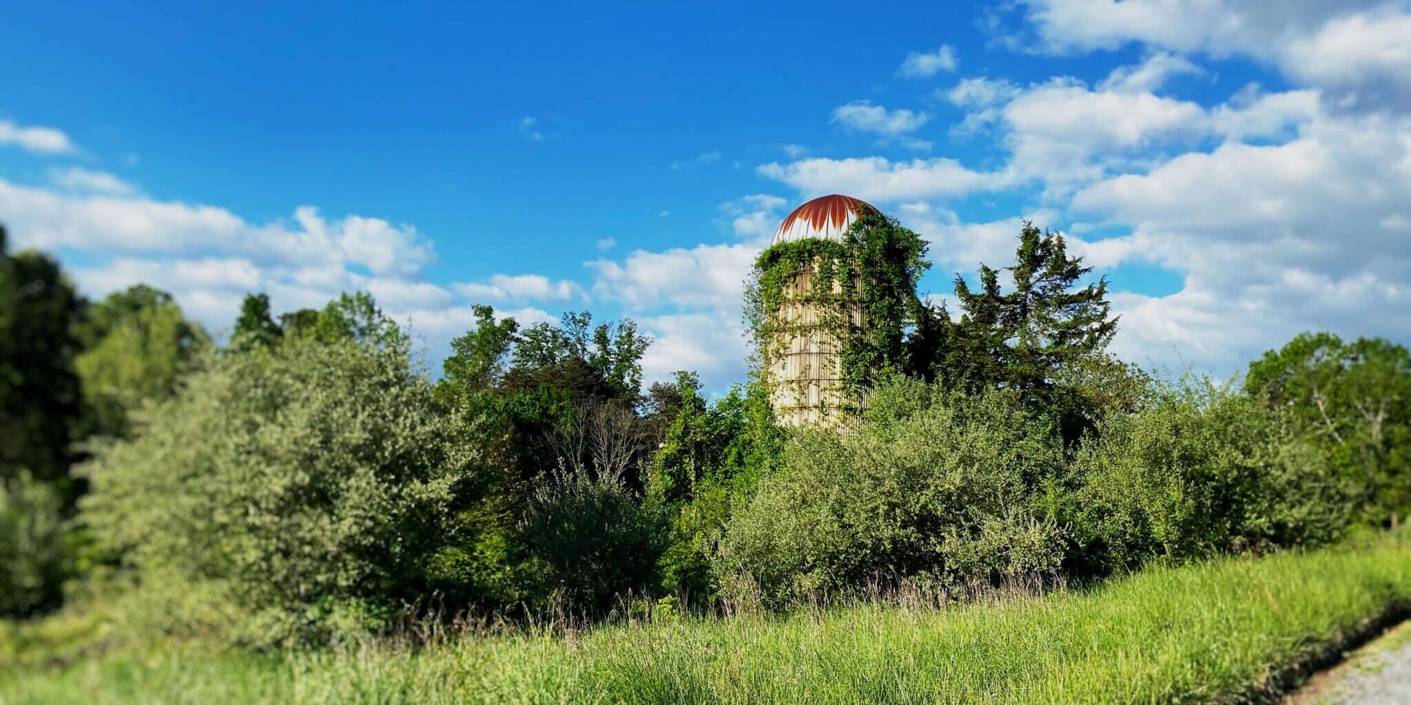 Who Benefited from Michigan’s $6 Billion Subsidy Spending Spree? Not Rural Michigan